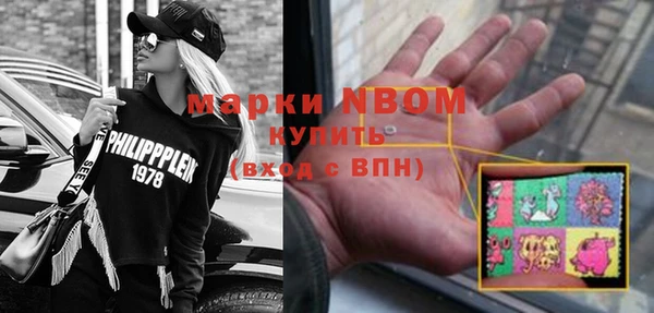 a pvp Бородино