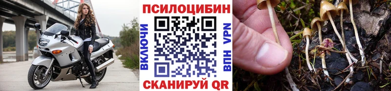 Галлюциногенные грибы GOLDEN TEACHER  Гаврилов-Ям 